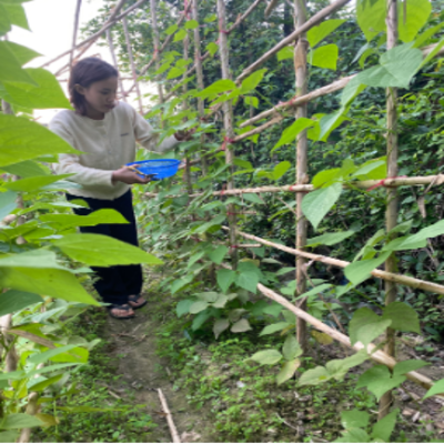 PROJECT 2: CHƯƠNG TRÌNH HỌC BỔNG